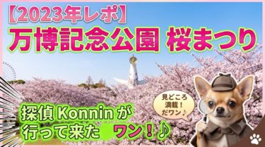 2023年 万博記念公園 桜まつり｜女探偵コニンの視点