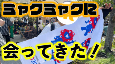 振替休日に行ってきた！子連れで楽しむ大阪・関西万博レポート